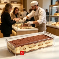 Moule à Tiramisu Rectangulaire en Acrylique Transparent, Base à Gâteau, Plateau Long, Spatule, Ensemble Complet d'Outils TXAD1704
