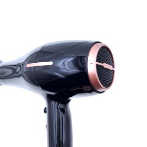Secador de Pelo Profesional de 2200W para Salón, Motor AC Comercial, Silencioso, con Tecnología de Bajo Ruido para Peinado - Product Image 6