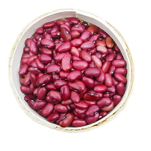 Wholesale Dried small Red Kidney Bean good quality Red Kidney Beans For Exporting