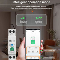 Interrupteur minuterie intelligent Wi-Fi Tuya 63A, disjoncteur miniature (MCB) Pa66 240V 50/60Hz, télécommande sans fil, sécurité domestique