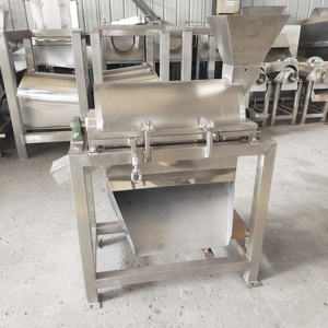 Máquina Automática para Pulpar Tomates, Máquina para Hacer Jugo de Pulpa de Tomate, Acero Inoxidable - Product Image 4