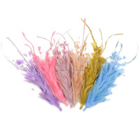 Plumes de poulet de qualité supérieure en gros, bon marché, pour coiffure, motif teinté, 12 pouces, 30 cm, pour la danse de mascarade et l'artisanat
