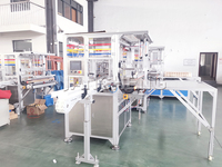 Machine d'emballage de sac/Bagger en plastique PP vide automatique à prix d'usine