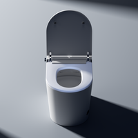 Ensemble WC intelligent monobloc avec télécommande, siège chauffant en marbre, chasse d'eau cyclonique, siphon en S et fonction de nettoyage par douche