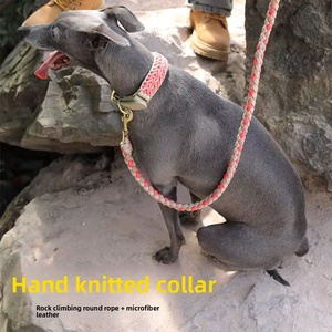 <span class=keywords><strong>Collier</strong></span> de chien PARACORD tissé à la main chaîne nouvelle <span class=keywords><strong>laisse</strong></span> de <span class=keywords><strong>collier</strong></span> pour animaux de compagnie pour chiens de taille moyenne <span class=keywords><strong>collier</strong></span> de <span class=keywords><strong>laisse</strong></span> de marche en Nylon à motif solide - Product Image 4