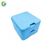 Boîte de protection EPP personnalisable, conception ESD, moulage d'échantillons, production en série, boîte logistique pour équipement de laboratoire délicat