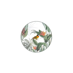 Colorful Plant Design Bone China Four-piece Plate <b>Cheap</b> High Quality Porcelain Ceramic Plate Safe Decal Dinnerware Sets - Product Image 5