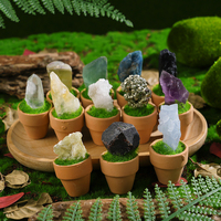 Cadeaux de spécimens minéraux naturels : Fluorite, Améthyste, Pyrite, Plante en pot, Cristal, Pierre brute, Roche de bonsaï pour la guérison et la décoration