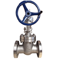 Vanne à opercule ANSI 600LB CF8 CF8M en acier inoxydable API 304/316 à bride Z41W-16P, pour vapeur haute température, avec joint dur et tige montante