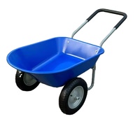 Chariot de jardin à brouette à 2 pneus Chariot utilitaire à usage intensif
