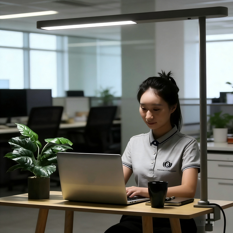 LED Office Desk Table Lamp Without