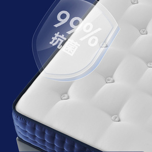 Colchón de Muelles Ensacados Individualmente Silencioso, Edición 143 Aniversario, Cama Doble, Soporte de Espuma Viscoelástica de 280 mm de Grosor - Product Image 2