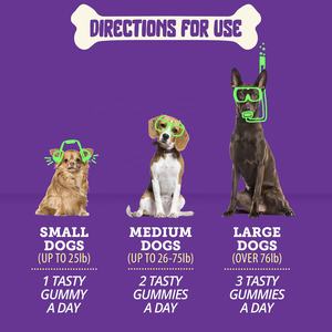 Gomitas de colágeno para perros y gatos, gomitas de colágeno de marca privada para las caderas y articulaciones, soporte p con tratamiento de gomitas Omega 6 y 9 - Product Image 3