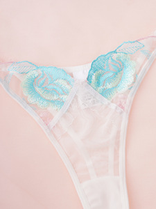 Ensemble deux pièces de lingerie sexy ultra-fine en maille brodée à fleurs pour femme – Nouveauté très prisée - Product Image 6