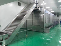 Senven Automatische Doorlopende Mesh Band Droger Machine Energiebesparing Voor Groenten Fruit Motor Gemaakt Ti Sus316l Voedselverwerking