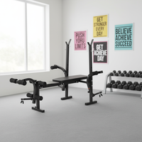 Équipement de musculation portable et écologique pour la maison, banc de musculation Excel, support pour haltères, support pour squats, banc de musculation en métal, modèle d'entraînement