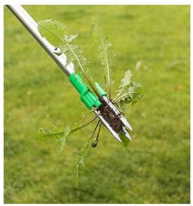 Strumento di rimozione delle radici porta artigli porta artigli manopola porta giardino manuale con manico lungo in alluminio estrattore di erbaccia - Product Image 5