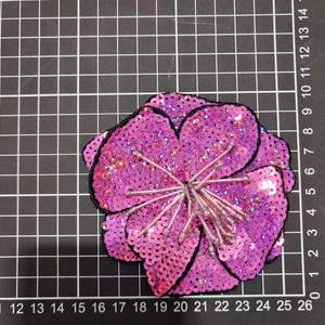 Thời Trang Ăn Mặc Trang Trí Đầy Màu Sắc Hoa Đính Đen Màu Đỏ Organza Thêu 3D Sequined Hoa Vá - Product Image 2