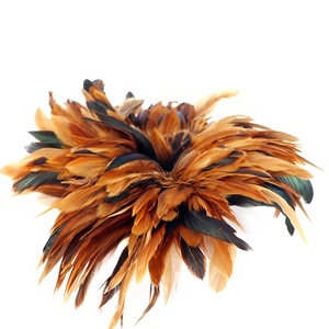 Venta al por Mayor de Plumas Naturales de Gallo de 6-8 Pulgadas (15-20 cm), Plumas de Cola de Gallo Teñidas en Varios Colores, Marca Xinyuling, Origen China, para Manualidades - Product Image 4