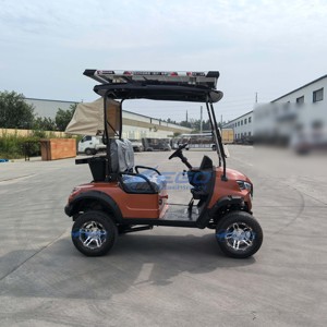 Voiturette de golf tout-terrain électrique 4 places avec climatisation, chariots de golf utilitaires, transport spécial - Product Image 3