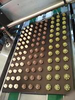 Machine/Machine à biscuits remplie de Panda/échecs, personnalisée, HYSSGJ-600