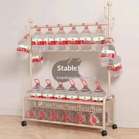 Panier de rangement multifonctionnel à double maille avec crochets latéraux pour placard à linge, support à vêtements robuste