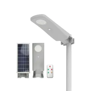 60w 5 Jahre Garantie mit Pol 150 Flügel Todo En Uno 100w LED 30w Solar Straßen laterne