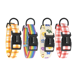 Popular Luxury Printed Custom Logo Nylon Webbing With Neoprene Padded Personalized Dog Collar Pet Accessory