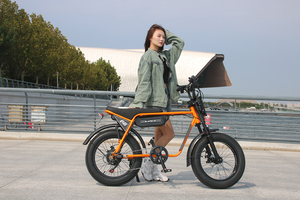 Bicicleta Eléctrica Urbana <span class=keywords><strong>de</strong></span> 20 Pulgadas con Entrega Rápida desde Almacén en EE. UU., 48V750W, Super E-bike con Reposapiés y Faro Retro - Product Image 4