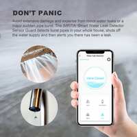 Détecteur de Fuite d'Eau Intelligent Wifi sans Fil avec Vanne d'Arrêt Automatique pour Tuyau et Alarme, Capteur de Détection des Fuites d'Eau pour la Maison