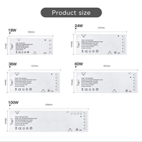 Alimentation à découpage pour bande LED de placard 12V/24V 100W, entrée AC110-250V, rendement 0.8, 50/60Hz