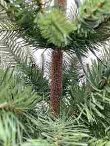 1.8M Nordic Treesmas Écologique PVC/Métal Snowy Pine Design Arbre De Noël Artificiel Intérieur Décorations Extérieures pour la Vente En Gros - Product Image 3