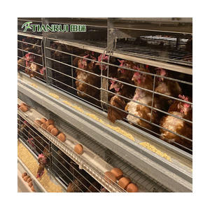 Tavuk çiftliği ekipmanları kalça daldırma galvanizli çelik H tipi çok katlı katman yetiştiriciliği pil tavuk kafesi - Product Image 2
