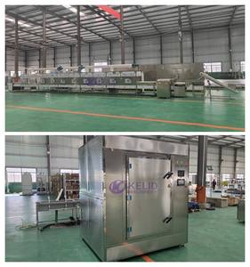 Tunnel Magnetron Specerij Sesamvenkel Kaneel Zwarte Peper Kruiden Theepoeder Sterilisatie Machine Sterilisator - Product Image 2