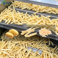 Shepody Kleine Schaal Volledig Automatische Machine voor het Maken van Diepvriesfrieten, Productielijn voor Verse Rauwe Aardappelchips