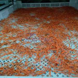 Secador Industrial para Produção de Alimentos Máquina Secadora de Cenoura Linha de Produção de Cebola Seca - Product Image 3