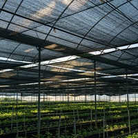 HDPE Hoge Kwaliteit Zwarte Waterdichte Zware Vouwbare Landbouwzonwering voor Groenten