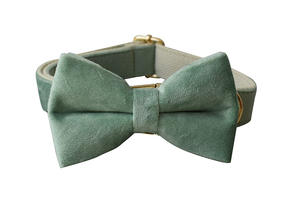 Set Kerah dan Tali Anjing Beludru Solid Mewah - Product Image 6