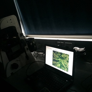 BD-YG3002 Infini achromatique <span class=keywords><strong>optique</strong></span> microscope <span class=keywords><strong>à</strong></span> <span class=keywords><strong>fluorescence</strong></span> - Product Image 5