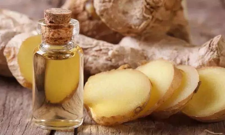 Crescita organica naturale pura di 100% Ginger Essential Oil For Hair 2