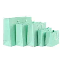 Women New Fashion Tiffany Blue Pillow Bags Luxury Brand Replicas Mini Tote  Handbags Wholesale Ladies Shoulder Bag - China Shoulder Bag and Tote Bag  price