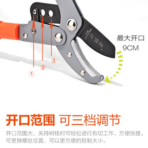 Sécateur télescopique double lame en acier allié 80 mm, diamètre de coupe 20-30 mm, outils de jardinage et d'orchard - Product Image 2