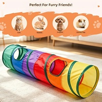 Tunnel pour chat en tissu arc-en-ciel pliable, résistant aux griffures et aux morsures, tunnel de jeu interactif pour une utilisation en intérieur par les chats, les lapins et les cochons d'Inde