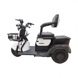 Commercial Customize easy to ride 3 Wheel Cargo electric tricycle for adults