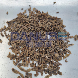 Black Soldier Fly Dehydrated Machine for Animal Forage Dryer Machine - Product Image 2