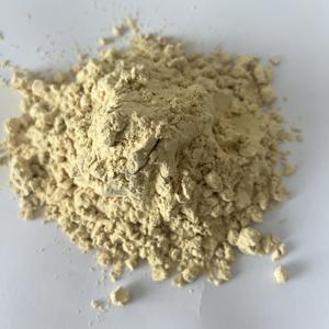 Suplemento Dietético, Extracto Herbal de <span class=keywords><strong>Ginseng</strong></span> Panax en Polvo de Grado Alimenticio a Granel, 10% de Ginsenosido, Certificado por <span class=keywords><strong>HPLC</strong></span>, Empaquetado en Tambor - Product Image 5