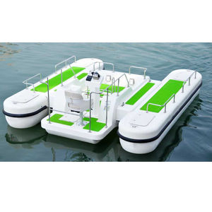 Imbarcazione Ecologica per Tour Subacquei Parziali con Motore Elettrico - Product Image 1