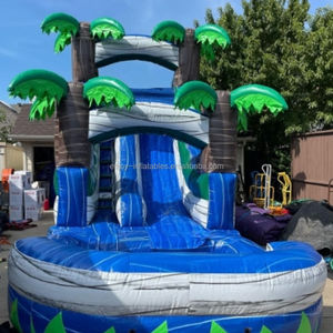 Combo <span class=keywords><strong>de</strong></span> tobogán <span class=keywords><strong>de</strong></span> <span class=keywords><strong>agua</strong></span> inflable, castillo hinchable comercial, casa hinchable, Castillo <span class=keywords><strong>de</strong></span> salto para niños - Product Image 4