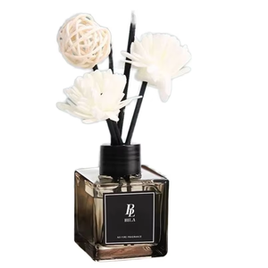 Bila Groothandel Home Car Decor Ftalaatvrij Glas Riet <span class=keywords><strong>Diffuser</strong></span> Muggenspray Langdurige Verse Doe-Het-Zelf Etherische Olie 50Ml - Product Image 1