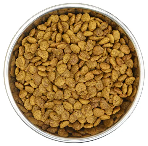 Comida seca natural disponible para gatos, de 10kg comida para mascotas, bocadillo para gatitos y gatos, Salud de piel y abrigo para todos los gatos